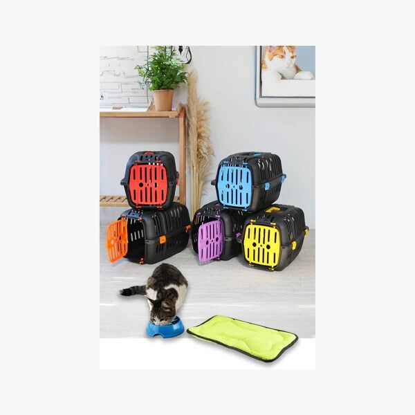 Kedi ve Küçük Irk Köpek Taşıma Kabı